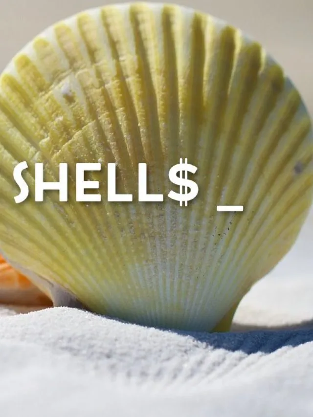 Linux Shells: Bash, Zsh, and Fish Explained